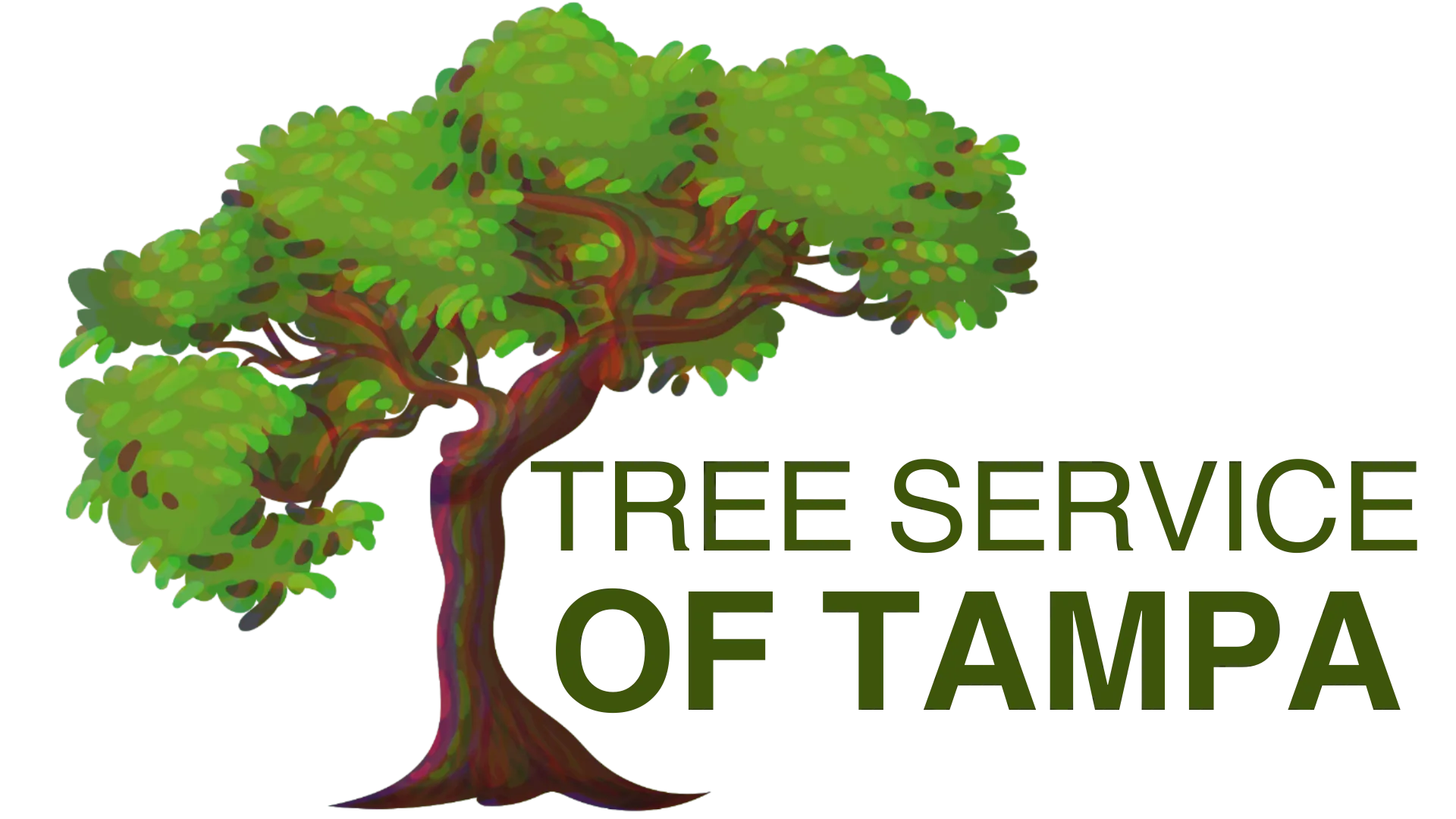 Tampa Tree Service